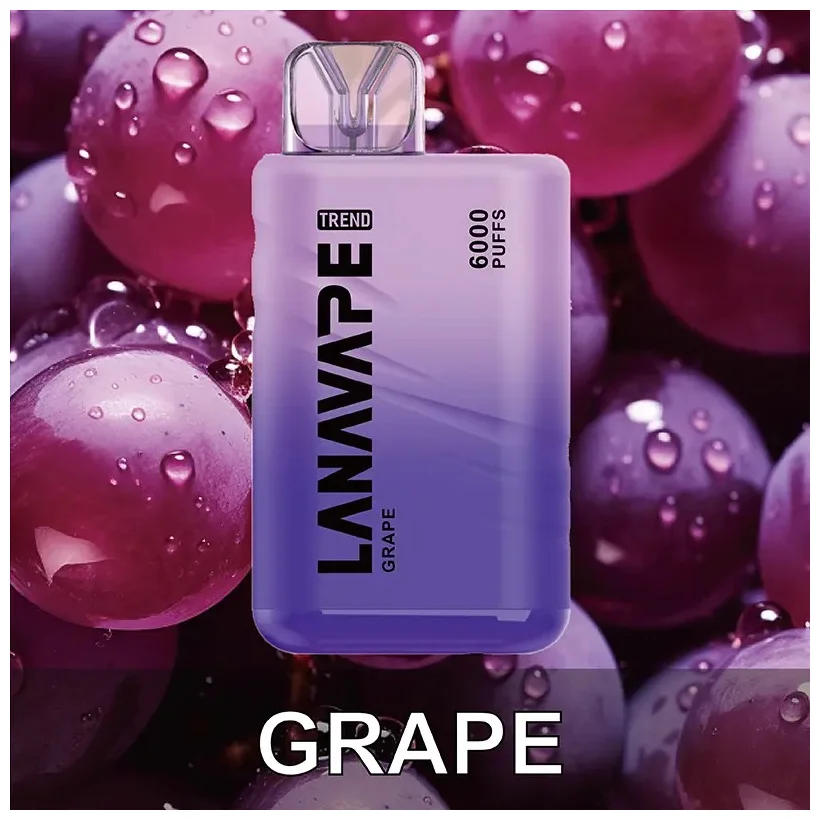 LANA拉娜Bar BC6000 Puffs拋棄式丨即棄型電子煙裝置 葡萄