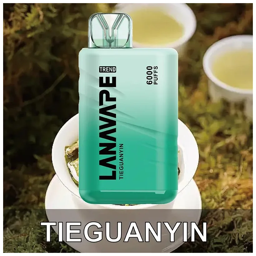 LANA拉娜Bar BC6000 Puffs拋棄式丨即棄型電子煙裝置 鐵觀音
